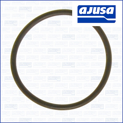 Thermostat gasket aju16073300 - gasket,