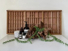 Vintage Letterpress Wooden Printers Tray Curios Display Restored *Christmas Gift