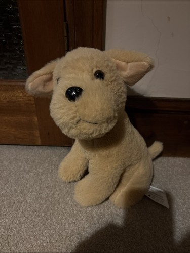 Children dog teddy bear - teddy,