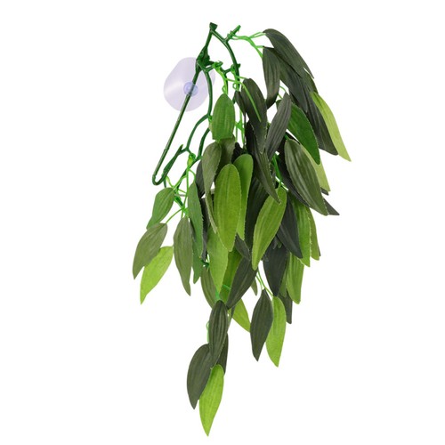 Reptile accessories terrarium - accessories,