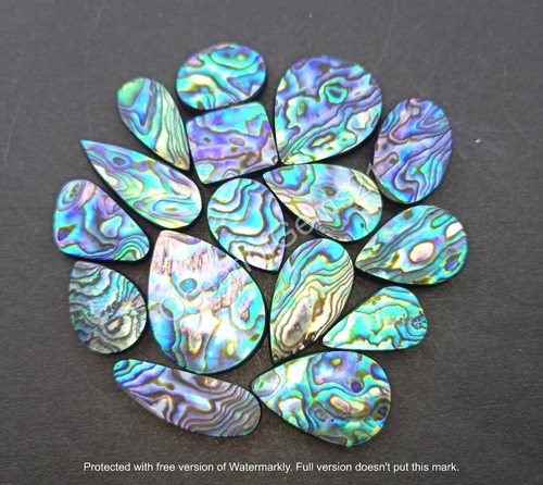 100 carats abalone shell - carats,