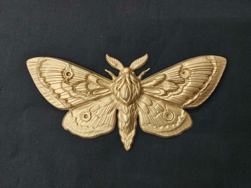Moth resin wall - resin, hanging