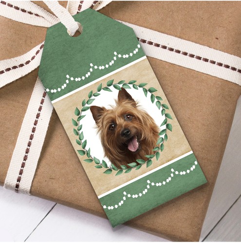Australian terrier dog green - terrier,