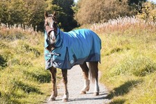Outdoor Turnout Aqua/Grey 600D 5'3-6'9 Horse Waterproof Winter Equine 50G Rugs