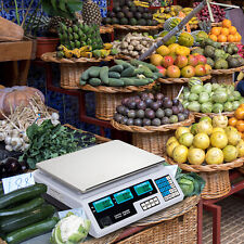 40kg/5g Electronic Weigh & Price Scale Digital Food Meat Weighting Shop Retail