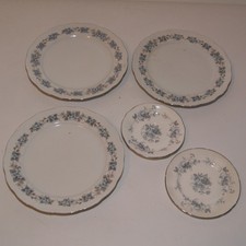 Bavaria Mitterteich Forget me