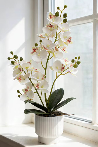 Large 42cm white vanilla - white,