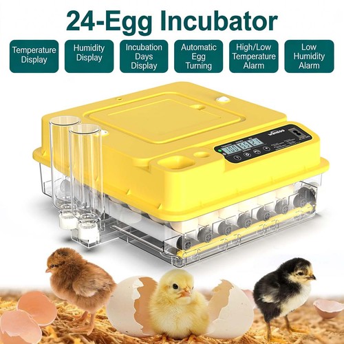 Eggs digital incubator with - 24,