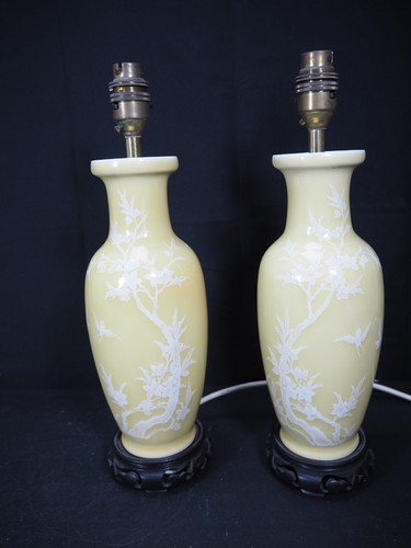 Beautiful pair chinese - beautiful,