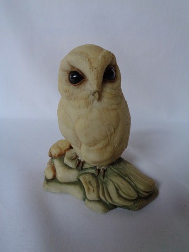 Teviotdale owl rocks - teviotdale, on