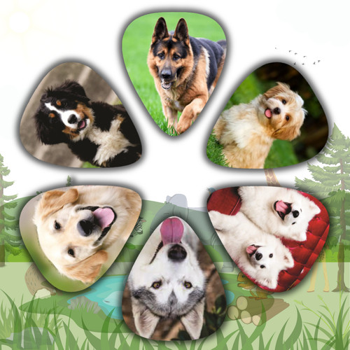 Dogs cute puppies - ~,