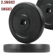 Weight Plates 1 inch Vinyl