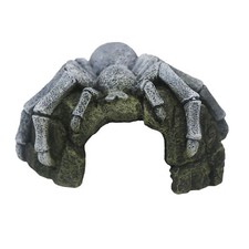 Betta Tarantula Rock Aquarium