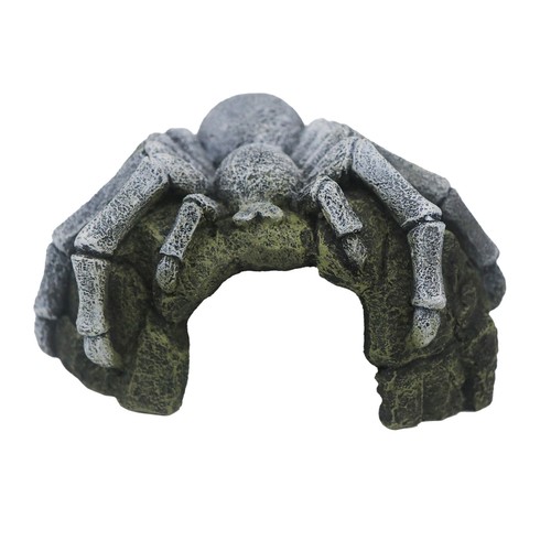 Betta tarantula rock - tarantula, aquarium