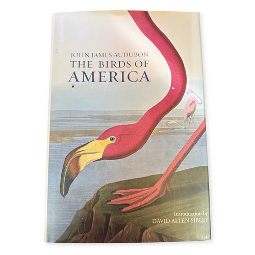 The birds america john - birds, of