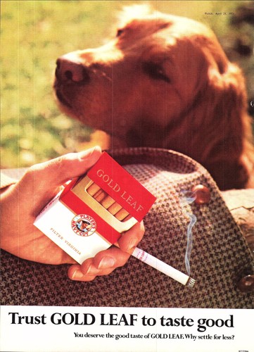 1971 advert for - for, john