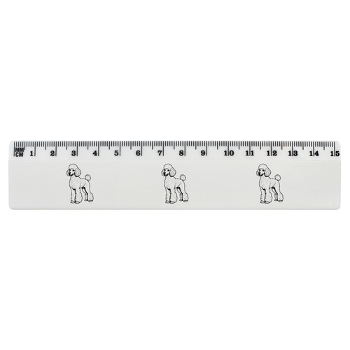 Standard poodle white - poodle',