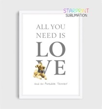 Airedale Terrier "All You