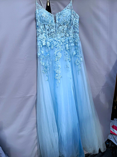 Women blue tulle - blue, embroidered