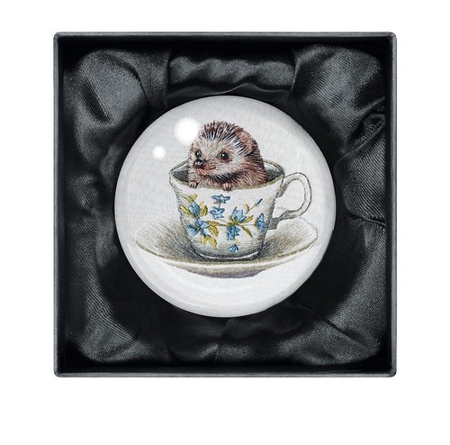 Emillie ferris baby hedgehog - emillie,