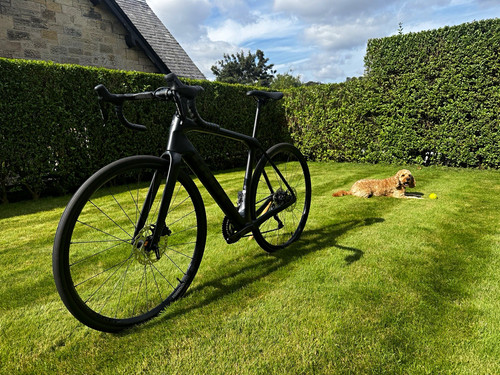Trek domane carbon fibre road - trek,