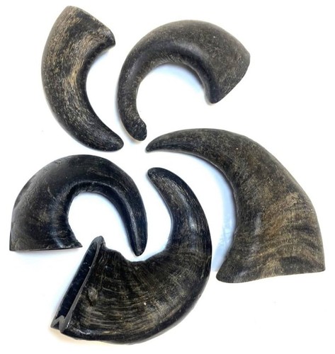 Buffalo horn dog treat - buffalo,