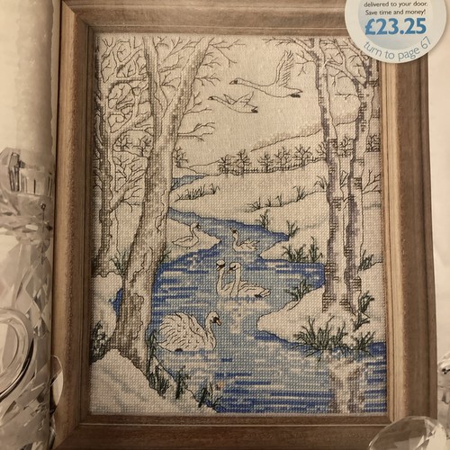 Swan lake winter wildlife