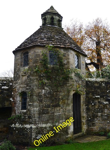 Photo 12x8 nymans - 12x8, garden