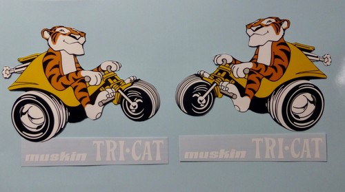 Side decal pair for 1970 - pair,