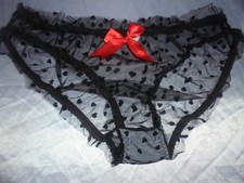 Sheer  see  through   Knickers