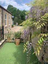 Self/Ctering Cottage 2 bed lovely village with pub. 3 or 7 nights dogs welc 