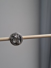 Pandora Enchanted Nature Charm Dragonfly