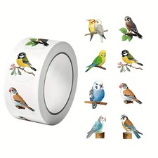 Colourful Birds Parrot Finch