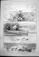 Antique Old Print Wild Fowling Fen Country Over Reeds Punt Gun At Work 1891