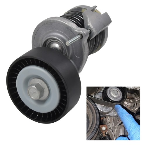 Drive belt tensioner pulley - tensioner,