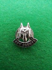 VTG Boy Scouts Lapel Badge