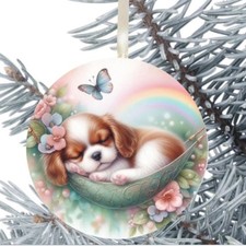 King Charles Cavalier Spaniel