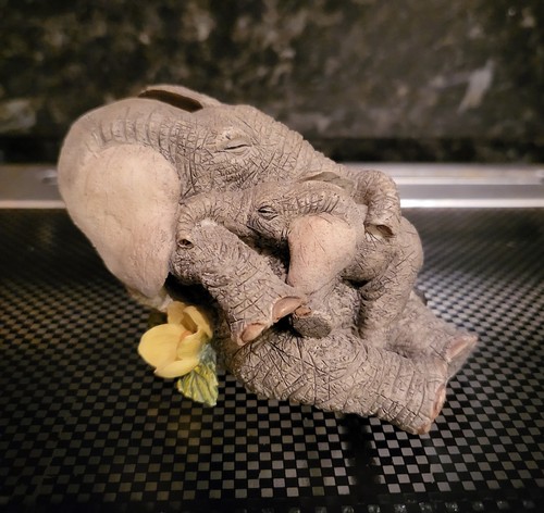 Tuskers love cuddle - tuskers, a