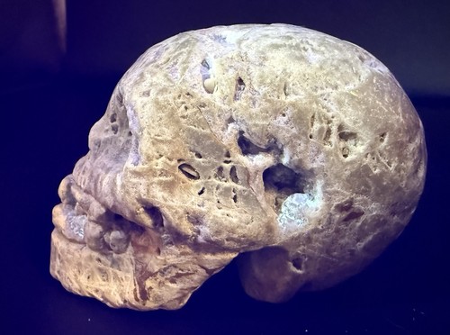 Sphalerite skull - skull, (353g)