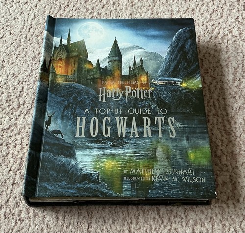 Harry potter pop guide - harry,