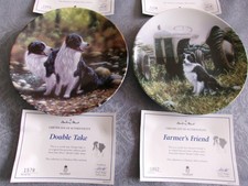 DECORATIVE BORDER COLLIE