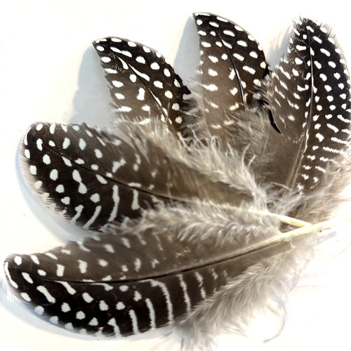 6pcs black white spotted - black,