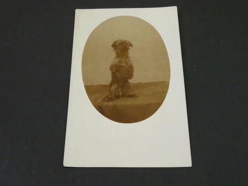Vintage postcard - postcard-p/c,