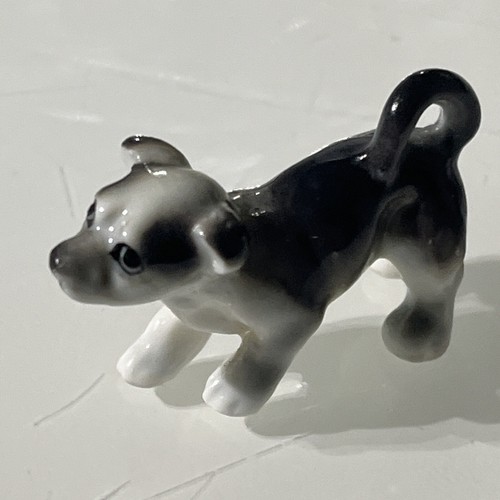 Vintage greyhound puppy - greyhound, dog