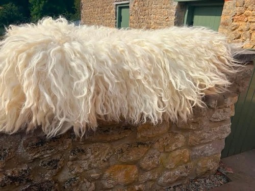 Sheep fleece rug - rug,, cruelty