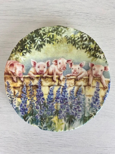 Pig plate ann blockley - plate.,
