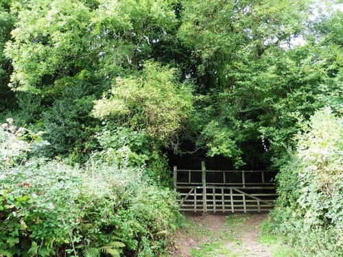 Photo 6x4 deer fence and - photo, gate