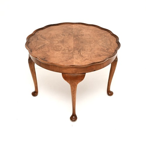 Antique burr walnut pie - antique,