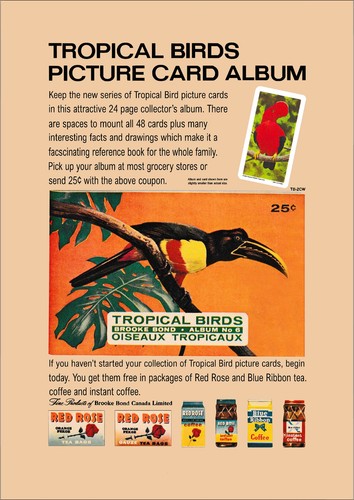 Brooke bond advert tropical - brooke, advert: