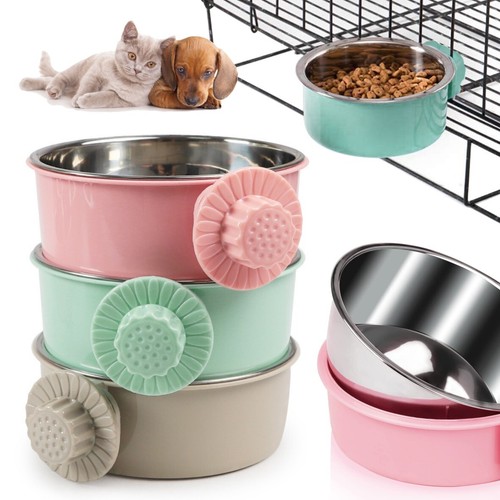 Pet dog puppy - pet, stainless